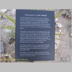 20060812_JoshuaYuccaTree_002 copia.jpg